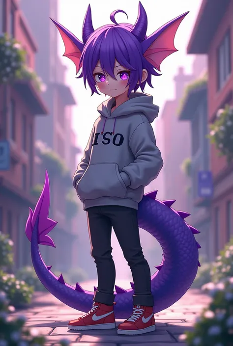 Generate an anime boy and a purple dragon hybrid has purple hair a purple dragon tail purple eyes gray sweatshirt black pants red shoes and has dragon ears and is a teenager
