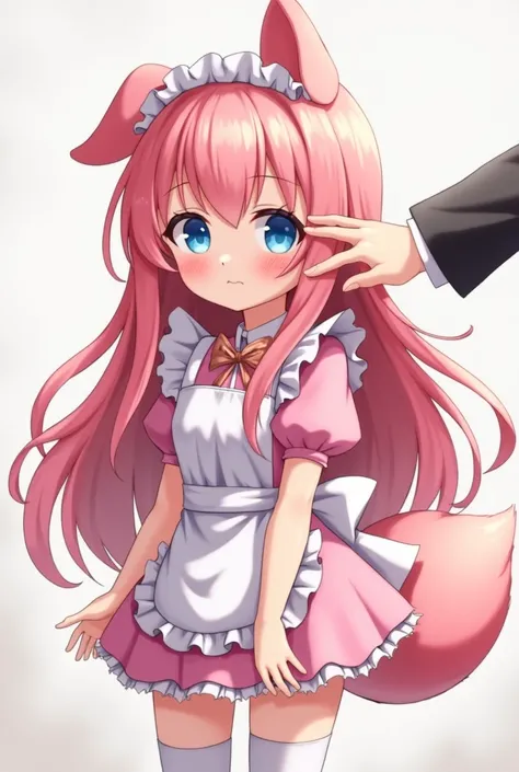 Anime girl, young, long pink hair, dogears and tail, pink maid outfit, short skirt, white thigh highs, blue eyes, shy, blushing, getting pat on the head by a hand