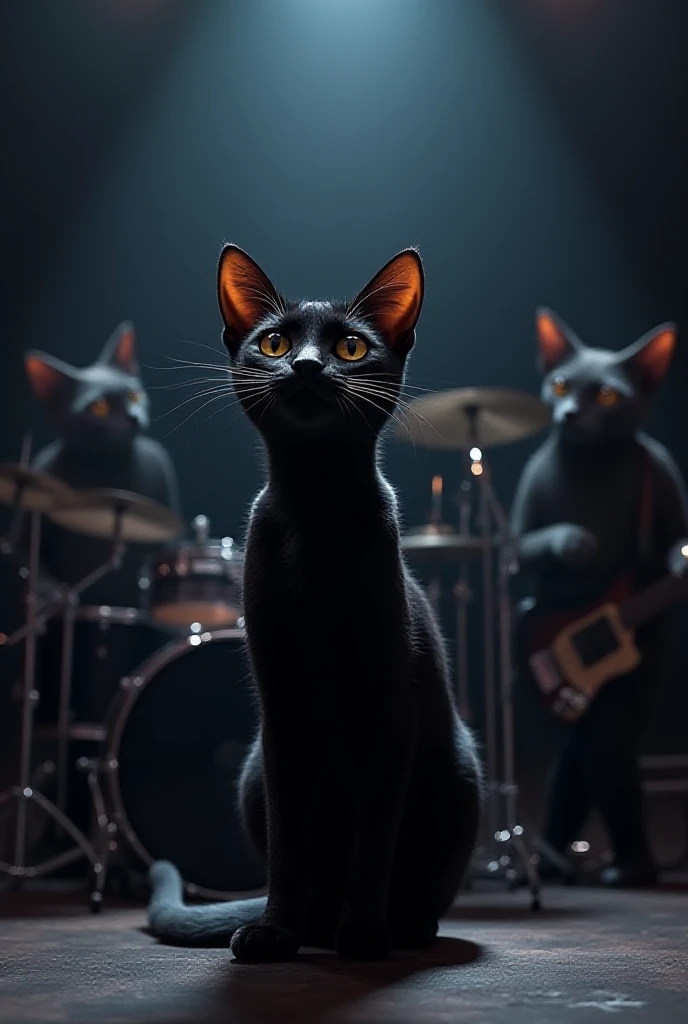 Gato Preto forms a band with a drummer, Bass guitar 