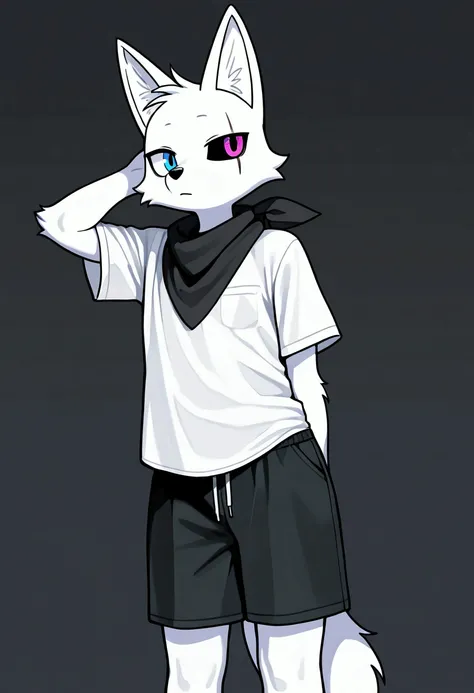  A furry teenage fox and him being male and with white fur ,    having a dark blue eye and a black eye and having legs and being tall and thin with a scar on one eye in the color black   ,   having short male hair   ,   and wearing a black scarf around his...