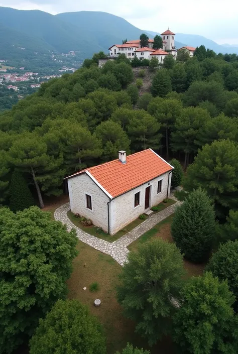 "A drone-captured aerial view of a traditional Dalmatian-style stone house, single-story and elongated in shape, nestled amidst a lush forest. In the background, a small village with just a few houses is perched on a hilltop, creating a picturesque and pea...