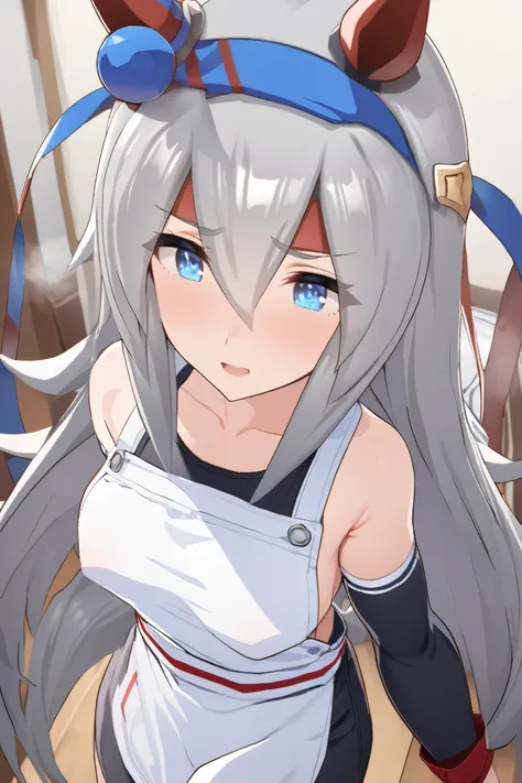 NSFW,masterpiece, top quality , High Definition , very detailed, tamamocross (Uma Musume)、Horse&#39;s ears、 ear covers、 horse tail、Gray Hair、 long hair、 hair bow、 hair between eyes、 blue eyes、 hair ornament、 headband, apron