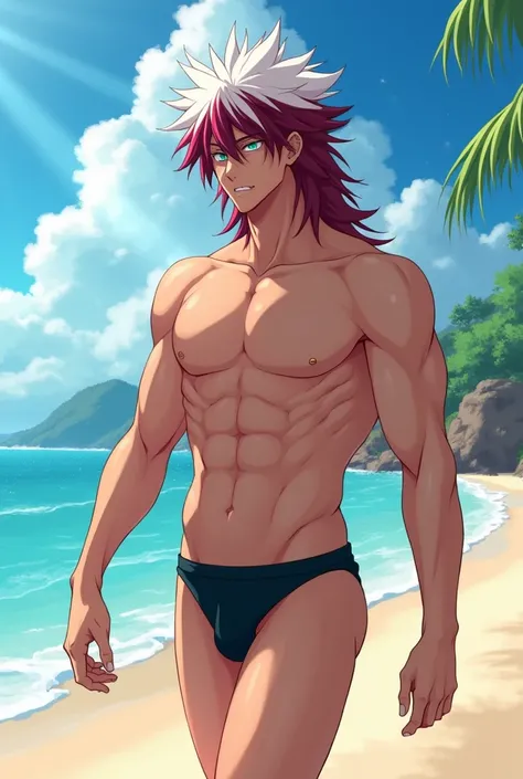 my hero academia,long wine red hair and white fringe, aquamarine eyes, 
 Wear a two-piece black bikini , he is walking on the beach,  in profile,  full body, High quality, Reflects the light