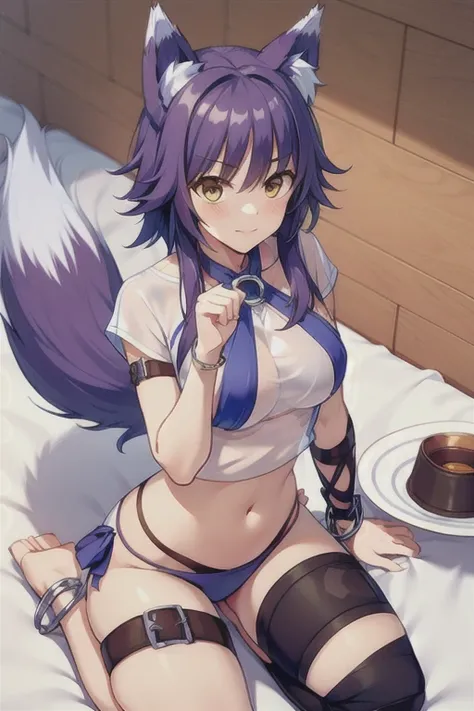 Sincerity, Sinceritysummer,  wolf ear,  wolf tail ,  yellow eyes,  white t-shirt ,  see-through shirt with a plate, O-ring,  Intersecting Halter Neckline, halterneck,  Purple Bikini , Arm belt,  upper body red , gem, knee brace ,  sitting, seiza, Claw Pose...