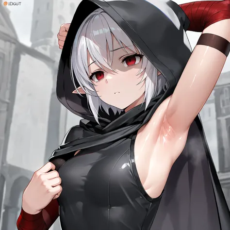 (Best Masterpiece, HDR, 2k, High Quality) 1girl, assassin girl, a white hair, short hair, wearing a assassin mask, killer expression, red eyes, elf ears, hooded cloak clothes, detailed clothes ((armpits, showing armpits, armpits detailed, shiny armpits, mo...