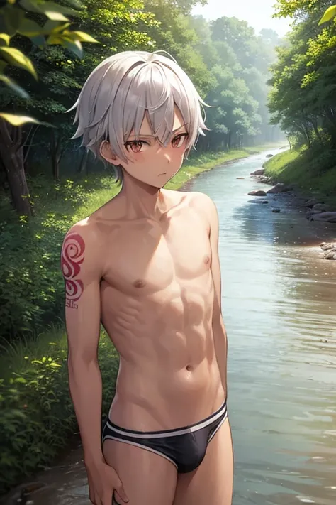 SILVER-HAIRED TEEN　Street gangs　 brown skin　　Middle school student Shota　　Boys swimsuit 　 shirtless in the lobby　 river in the woods in the countryside 　Full body mud　Bad mood　 is staring　Rebellious　tattoo