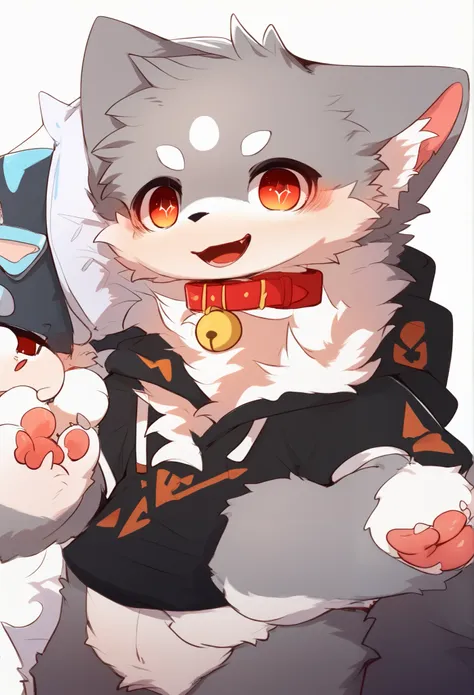  very detailedな, very detailed, gray fur white hair ,Age 15,male, excited to see bones , wolf fur,Excited,participate, cute face, fluffy fur like one,Horny boy,Red collar,cute ears ,Fluffy Ears ,Fluffy Ears ,Show your legs,Show me a paw , hold a red collar...