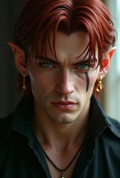 Tall, beautifully handsome man, late twenties. Dark red hair, mullet. Green eyes, scar across his left brow. Gold ear piercings. Pointed ears. Cocky grin