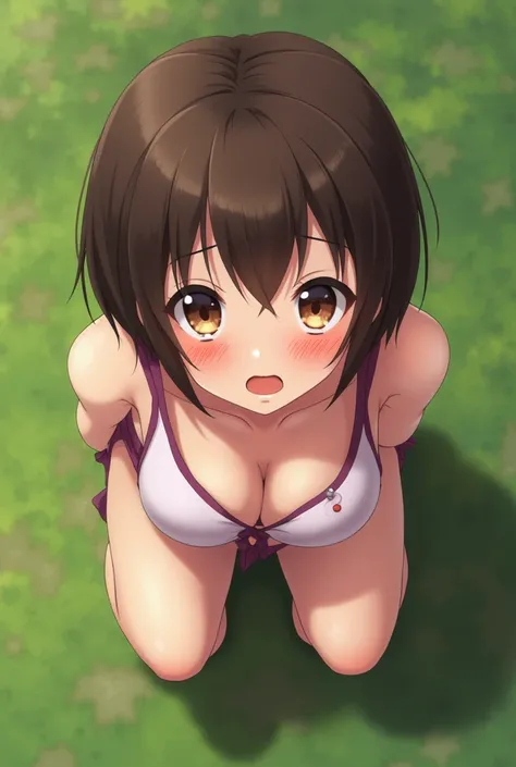 nsfw, ((loli)), cute girl, brown eyes, nipples, short hair, squatting, anus, flat chest, (Creampie), (cum on pussy), (cum in pussy), manguri, at park, on grass, ((dirty)), ((cry)), ((tear)), vaginal penis insertionpenis, face close up, upperbody, pov, look...