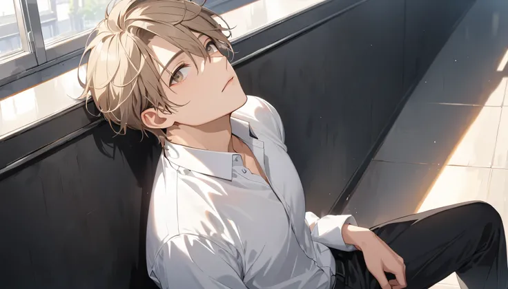 masterpiece, beautiful young man, ( one man), ((whole body)), Bangs that fall on the forehead,  Light Brown Hair, 真剣な表情で looks up, front, Dont tilt your neck , Overlooking, Birdseye,  wearing a white business shirt ,  long black pants , Sit on the floor wi...