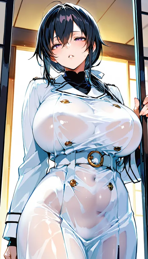 Black hair, straight and long,low ponytail、 slanted eyes, big breasts, white coat, clothes transparent, Japanese princess,onmyouji (( (High resolution) )), ((((masterpiece)))), 