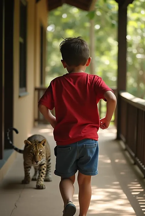 He took a deep breath, stepped off the verandah and ran towards the cat. Then he heard it, a deep, throaty cough, a warning, a threat, and he turned round and saw the leopard.
Little   wearing red t shirt blue shorts