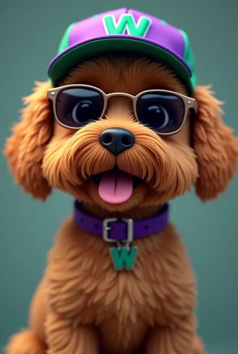 A brown dog with black lenses and a collar with the initial w and a purple and green cap