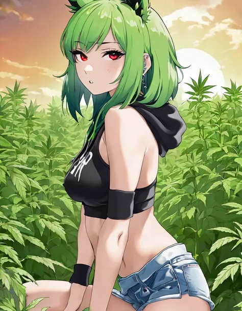   , Croped, , cleavage, slim waist, cropped hoodie underboob, cropped hoodieunderboobhoodie, 1girl, 2 wolf ears, wolf tail, marijuana crop hoodie, crop shorts, marijuana hoodie, spiky hair, spiky fur, green hair, red eyes,marijuana field, tight clothes, pe...