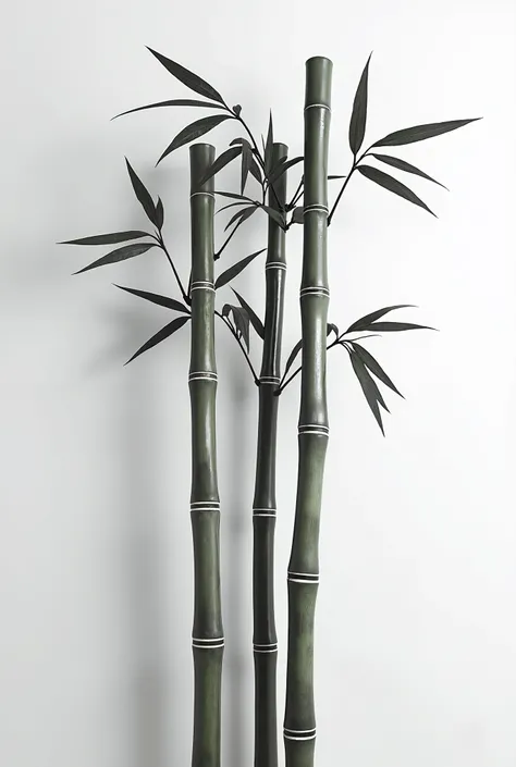 bamboo trees, 3 stocks, highest quality, black and white, 