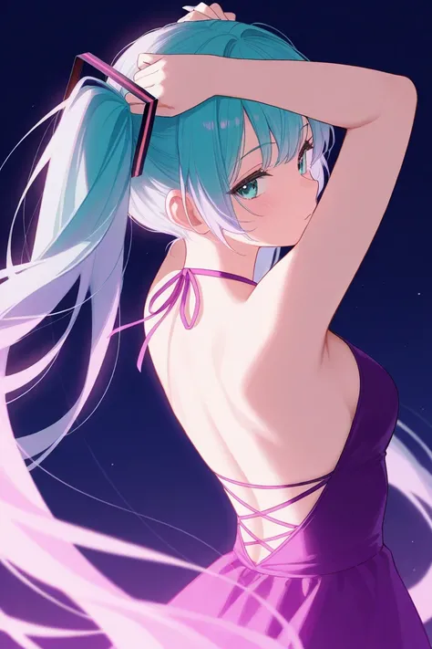 tsumi-shiki Hatsune Miku back