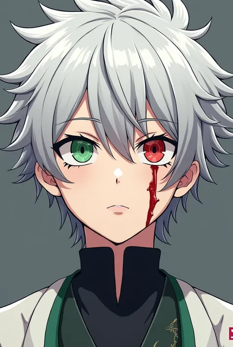  Kimetsu no Yaiba style anime character with white hair and gray tips of hair,  eyes of the color left green and the right white , with a large scar on the face,  in the style of the Taisho era of Japan ,  and looking like a 14-year-old teenager ,  male  