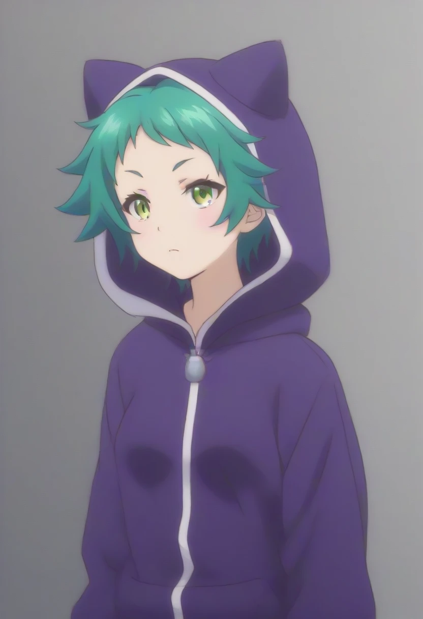  yaya fushiguro ,  short hair,  green eyes,  green hair,
long sleeves, hood, moletom com hood, hood animal,  sports sweatshirt, hood gato,