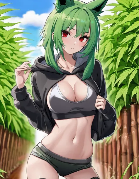   , Croped, , cleavage, slim waist, cropped hoodie underboob, cropped hoodieunderboobhoodie, 1girl, 2 wolf ears, wolf tail, marijuana crop hoodie, crop shorts, marijuana hoodie, spiky hair, spiky fur, green hair, red eyes,marijuana field, tight clothes, pe...