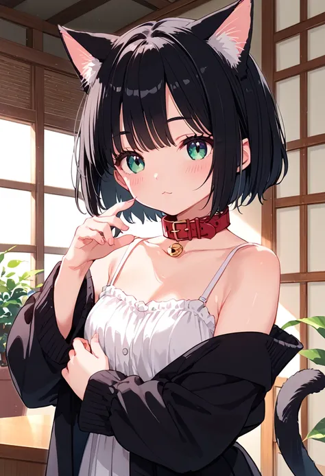 score_9, score_8_up, score_7_up, source anime, One Girl , wolf cut hair, black hair, anime girl, very beautiful cute Cat girl, attractive  cat girl, beautiful anime Cat girl, beautiful young Cat girl, cute anime Cat girl, very beautiful anime  cat girl, Ca...