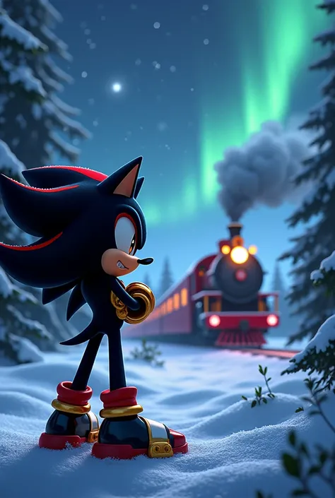 Shadow the hedgehog and the polar express 