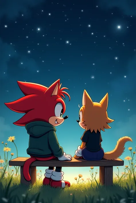  a red hedgehog with a tuft wearing a dark green jacket with a brown cat wearing a black shirt and a black skirt watching the stars in a meadow sitting on a bench ( And let it be OCs of Sonic )