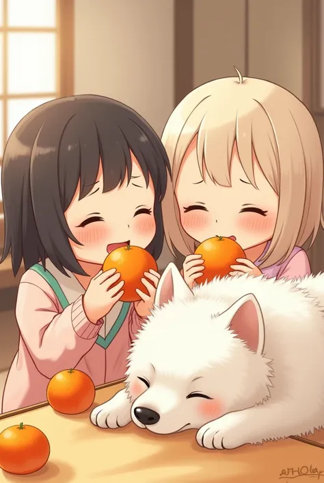 「girls eating tangerines while sitting in a kotatsu」A cute white Samoyed dog sleeping in a torch