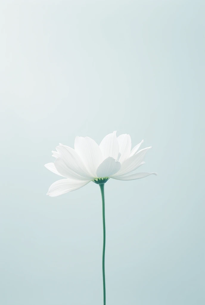 I want to create wallpaper of  flower which is in white colour with the text of AVDM 