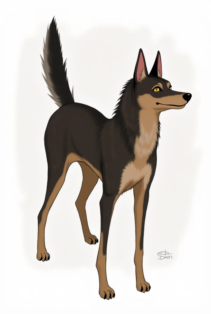 Heres an OC based on the Philippine Witch Dog:
Name: Aswang (meaning "man-eating spirit" in Filipino folklore)
Appearance:  Aswang is a medium-sized dog with a sleek, brindled coat in shades of brown, gray, and black. They have a distinctive ridge of hair ...