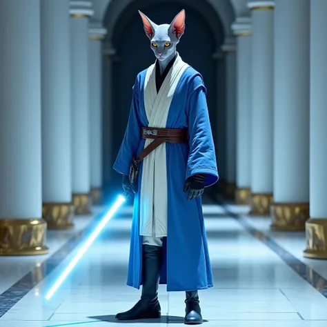 Gray skinned man. hairless. With feline eyes and long ears .  He wears blue and white Jedi robes ,  with black gloves . He wears knee-high boots in blue .  He wears a single-blade light sabre in cyan .  He is standing in the middle of a shiny ceramic path ...