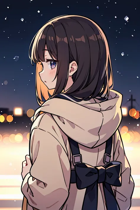 (masterpiece, best quality),1girl, solo,   outdoors , parted lips, black hair, serafuku, brown hair, bub cut, depth of field , from behind, looking down, facing away from the viewer, join hands,  winter, coat