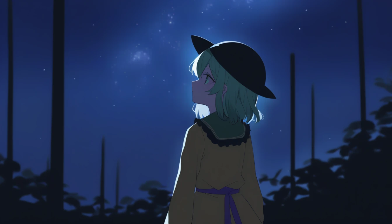 Koishi Komeiji staring at the sky, Night Sky, 