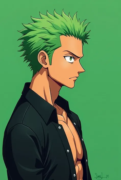 an acrylic portrait of zoro from one piece against a green background, the background does not have any details just a single color, the portrait is a side profile of zoro that is simple and in 2d illustration