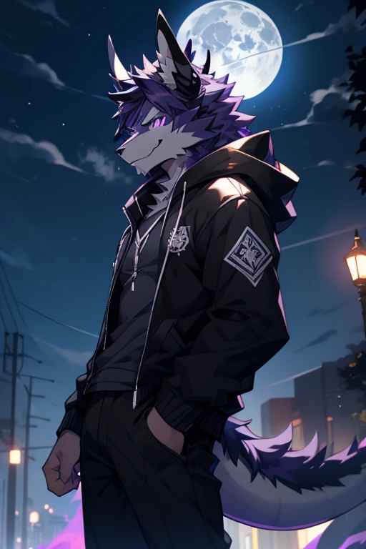 Furry black wolf, purple eyes, muscular, with otsutsuki isshiki horn on his head, wolf ear near horn, dragon tail, wearing black jacket, with hoodie, wearing gray shirt, wearing long black pants, standing in the park, smiling, looking at the sky, grassy pa...