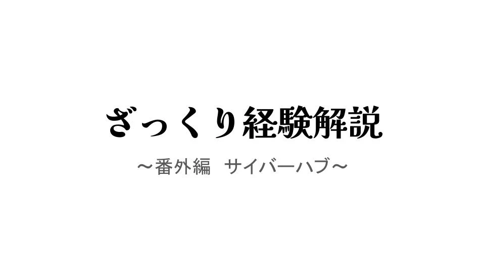 ざっくり経験解説　〜番外編　サイバーハブ〜