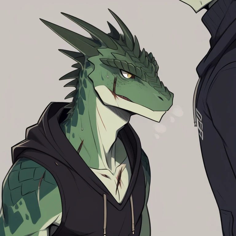 
flat color, profesional concept art, detail, lizard guy, furry, handsome, green scales, black sleeveless hoodie, sweat, suggestive, wounded