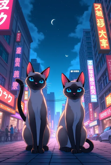 Do Siamese cats in a city at night anime type wallpaper