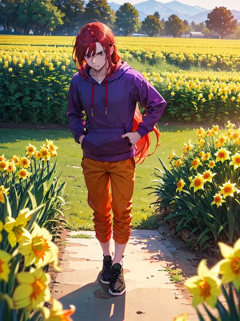 ( adult male, ( Long hair,  Red hair), red bristle ,  purple eyes ,  disappointed look, green hoodie , orange pants )(daffodil flower field)