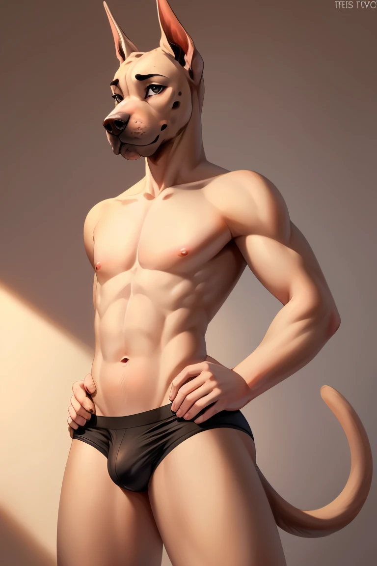 ((18, cute, furry, great dane boy femboy wearing thin, low panties with a bulge, topless, best quality)) ((hands near crotch)) ((exposed hips)) 