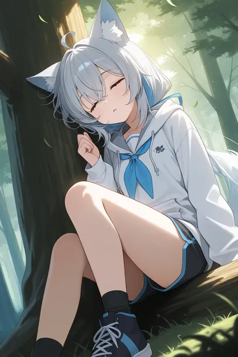 Sleeping on a tree in the forest is a girl with blue eyes with wolf ears