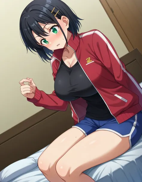  score_9,  score_8_ up,  score_7_ up,  source_Anime,
 soon Kirigiya ,  Kirigaya Naoha ,  short hair while on a business trip,   black hair,   hair ornament,  hair clips,  green eyes,
 jacket ,  shorts, short  shorts, blue  shorts, track  jacket , dolphin  ...