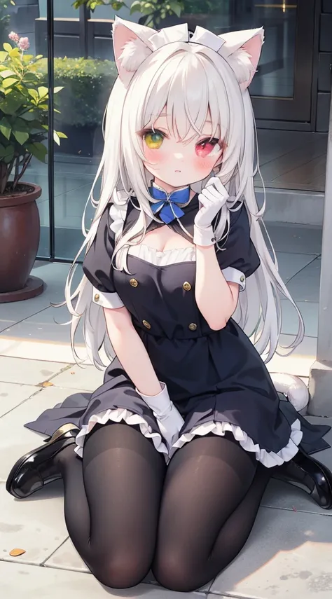  wearing beautiful clothes （the maid outfit），maid nurse ，Heterochromia，Heterochromia， This cat is cute ，Cat ears，coda， wearing a ball-shaped headdress，Hair，（Gloves）， lace pantyhose ，动态posture，Photograph，posture，Sit posture，floor， indoor，City， full-body pho...