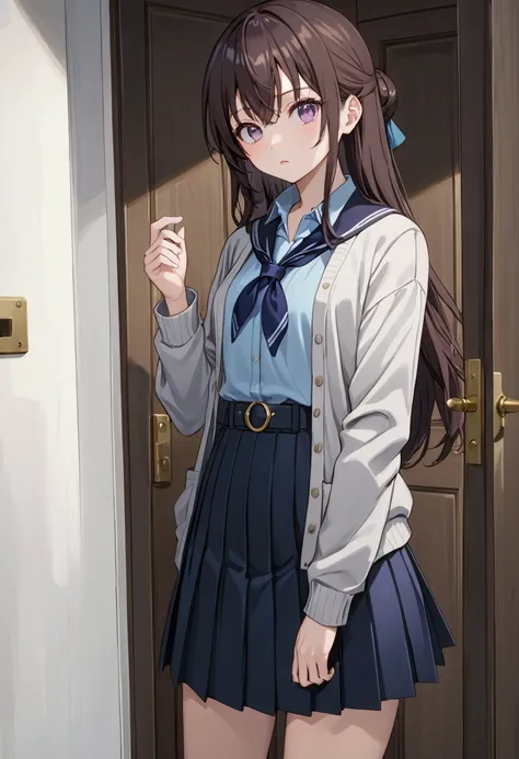 beauty age girl, (yukisuou, long hair, bangs, brown hair, black hair, hair between eyes, purple eyes, half updo), is standing in front of door,  mirror door, BREAK, gray long sleeves winter cardigan, light-blue shirt, short sleeves collared shirt, navy-blu...