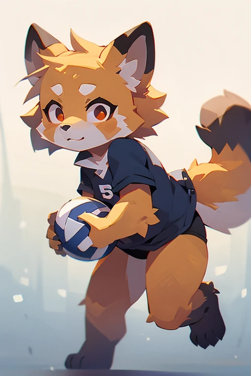 Anthropomorphic red panda, the tail is striped, volleyball