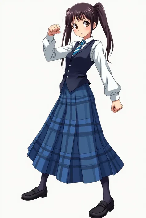 anime young adult girl, black hair with ponytails, brown eyes, school uniform with white shirt, blue and white tie, dark blue vest, long blue plaid skirt, black loafers, determined face, kung fu pose