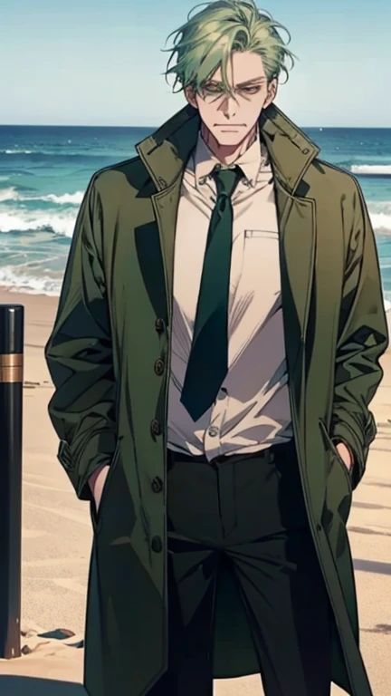  At the weapons testing ground at the deserted oceanfront pier ,  a scientist dressed , a green coat , a white shirt,  and a middle-aged man with green hair and an angry expression