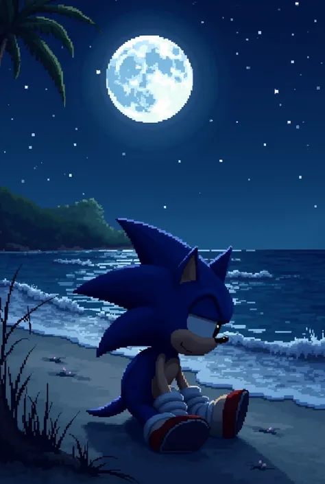 SONIC RESTING WITH A SAD LOOK ON THE BEACH AT NIGHT IN PIXELS