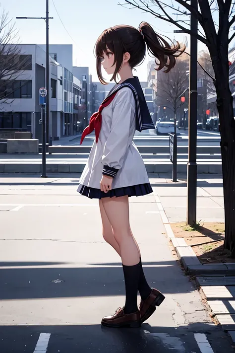 (masterpiece, best quality),1girl, solo, senior high school student,outdoors , parted lips, black hair, serafuku, brown hair, bub cut, depth of field , (full body), (from side), profile portrait ,back view, winter, wind