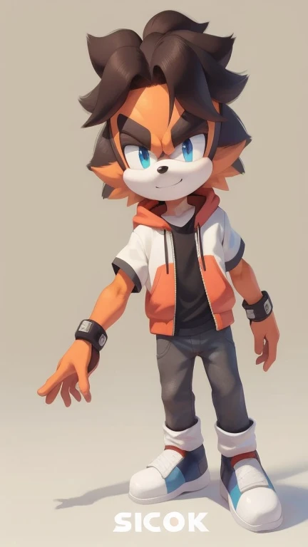 Male furry teenager positive good guy true hero amirhossein hedgehog fluffysonic style 