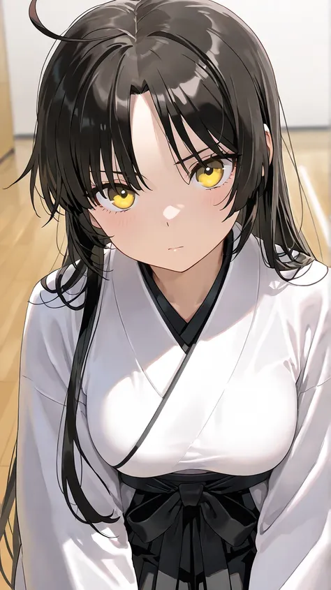 cal
High quality ,  best quality , masterpiece,  High Resolution , detailed face( LoRA: cal),anatomically correct, detailed hair(LoRA: cal) ,detailed bangs(LoRA: cal)
solo, 1 girl,
Black hair, long hair, forehead, ahoge, yellow eyes, medium breasts, hair d...